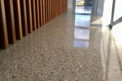 Polished-Concrete-Floors-NZGrinders-hallway