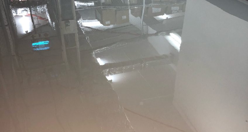 Garage Epoxy floor Tauranga NZ Grinders