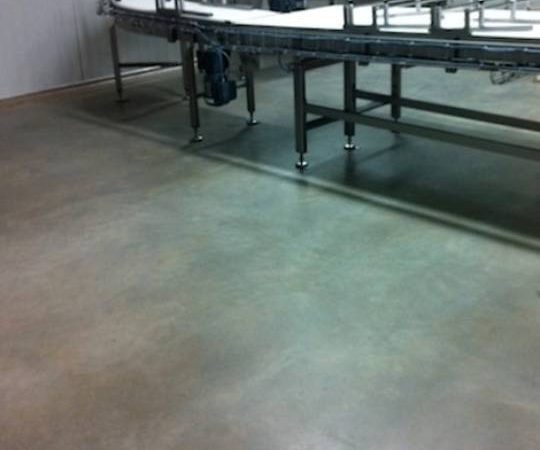 Grind and seal topical polished concrete NZ Grinders Tauranga