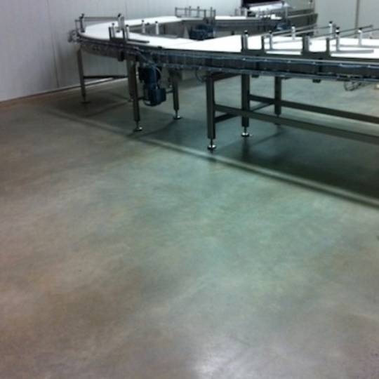 Grind and seal topical polished concrete NZ Grinders Tauranga