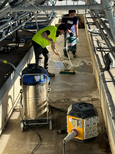 NZ Grinders Cow Shed