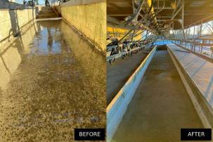 Cow milking Shed floor repair Waikato before and after photos. dairy